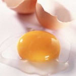 kuning-telur