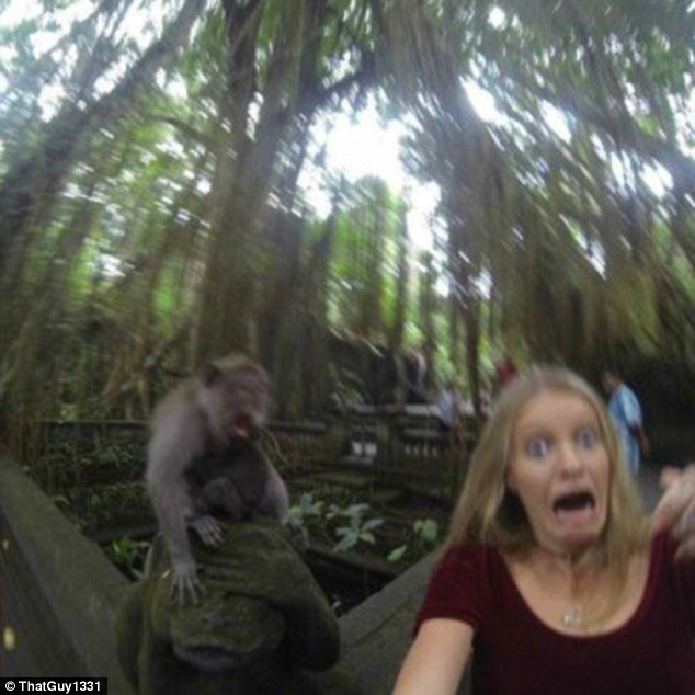 Selfie dengan monyet 1