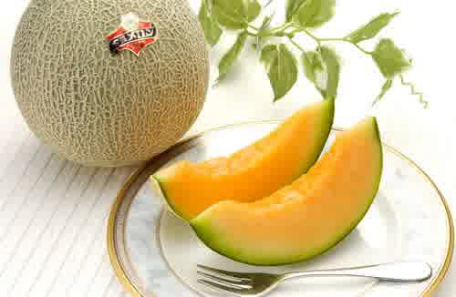 Buah Termahal Di Dunia (Melon Yubari)
