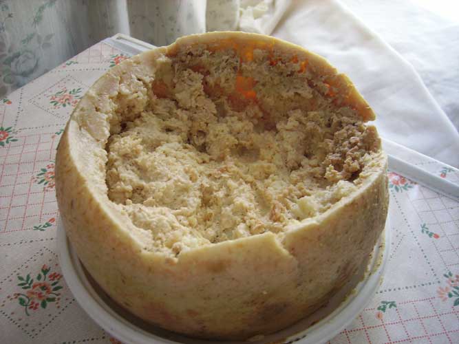 Casu Marzu cheese (c) wikip