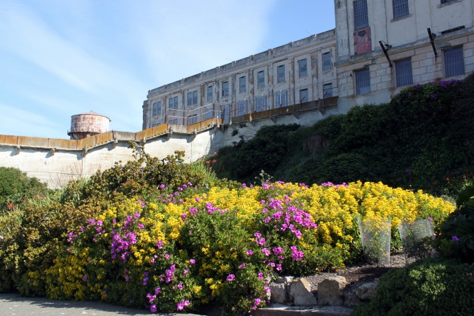 Taman Bunga di Alcatraz via Dry Garden