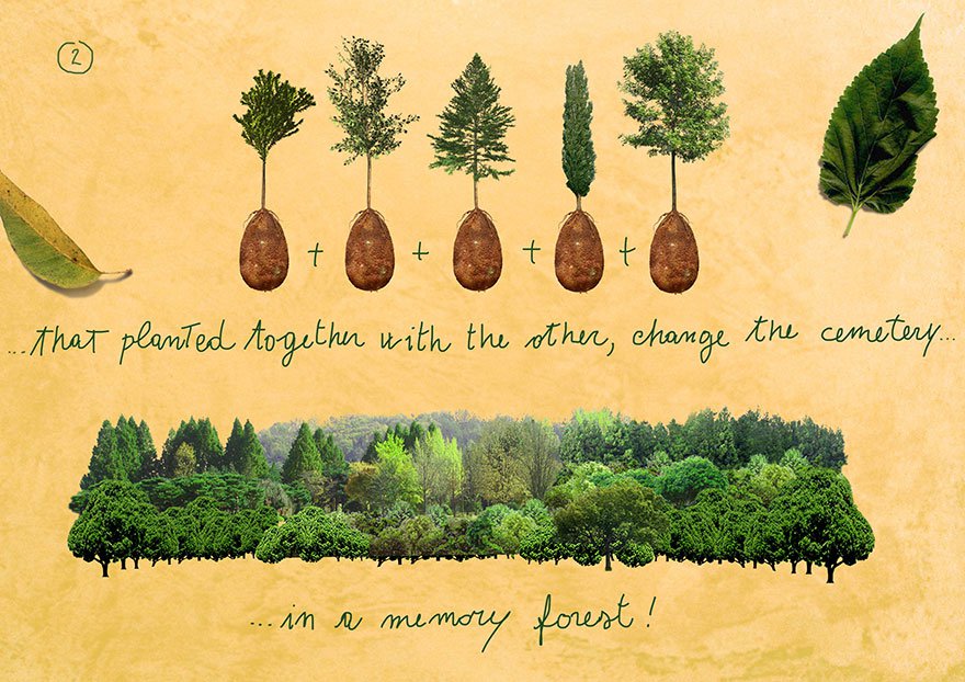Hutan kenangan [image source]