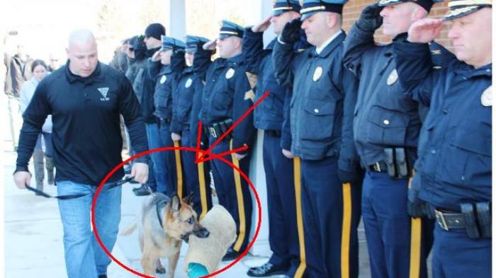 Penghormatan terakhir anjing polisi