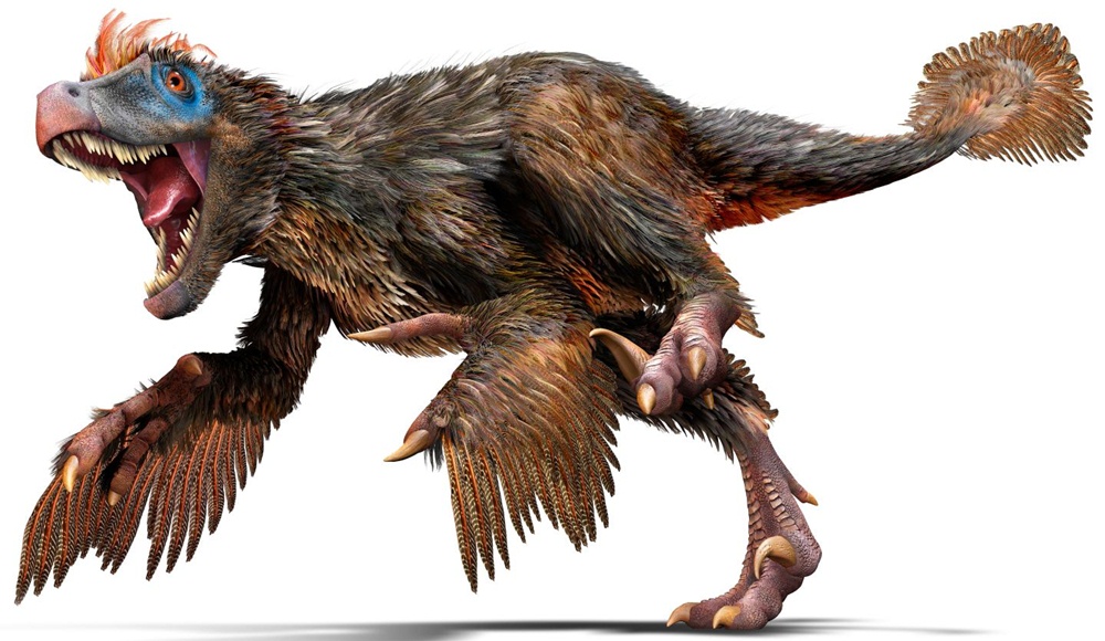 Velociraptor [image source]