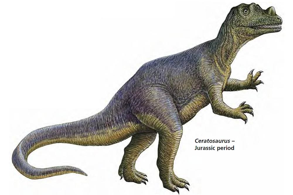 Dinosaurus Era Jurassic [image source]