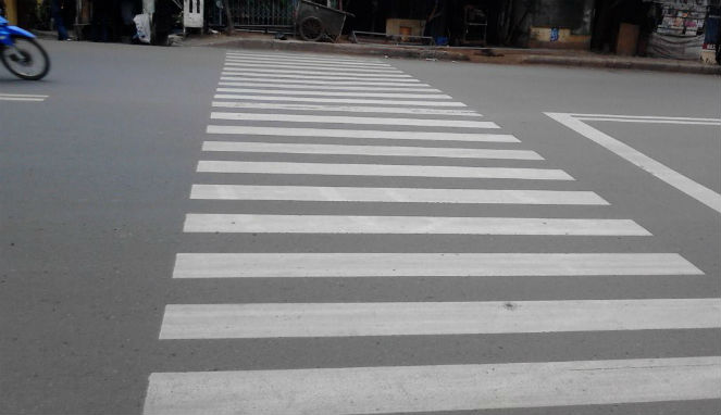 Zebra Crossing [Image Source]