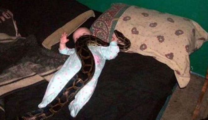 Bayi bermain dengan ular [Image Source]