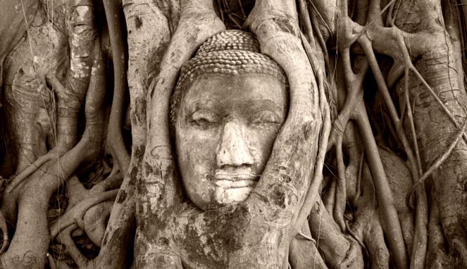 Kepala Budha di Historic City of Ayutthaya [Image Source]