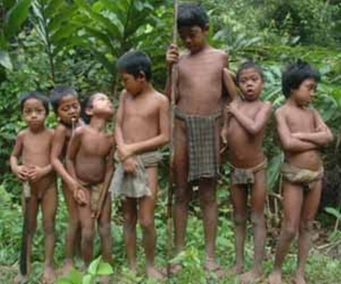 Orang Rimba, Hidup Secara Nomaden - (c)kebudayaanindonesia