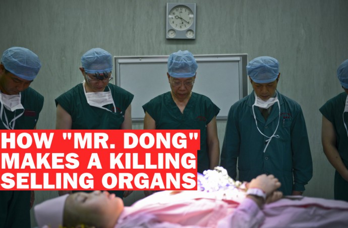 Organ Manusia