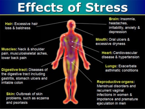 Penghilang Stress