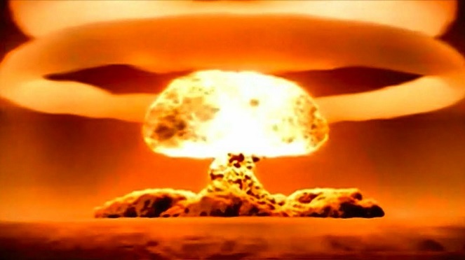 Seandainya Bumi hancur lantaran bom atom, maka kecoak lah yang bisa bertahan [Image Source]