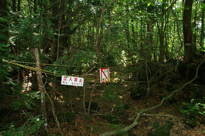 Hutan ini jadi farovit orang Jepang untuk mengakhiri hidupnya [Image Source]