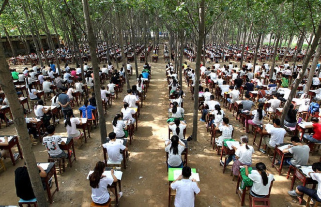 Bisa nih ditiru banyak sekolah di Indonesia [Image Source]