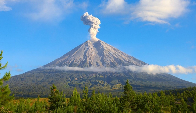 Gunung Semeru [image source]