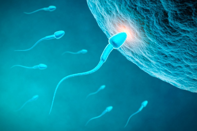 DNA pada sperma cacing [image source]