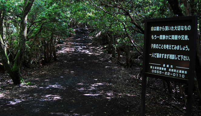 Hutan Aokigahara menjadi tempat bunuh diri yang terkenal di Jepang [Image Source]