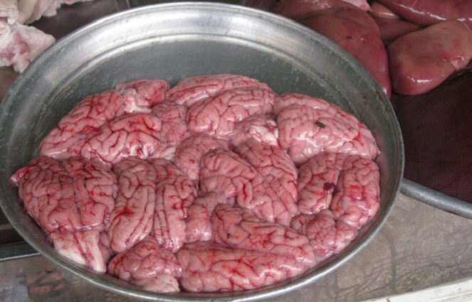 Makan otak monyet akan bikin otak kita encer [Image Source]