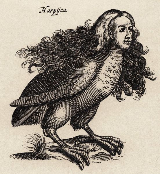 Harpies [Image Source]