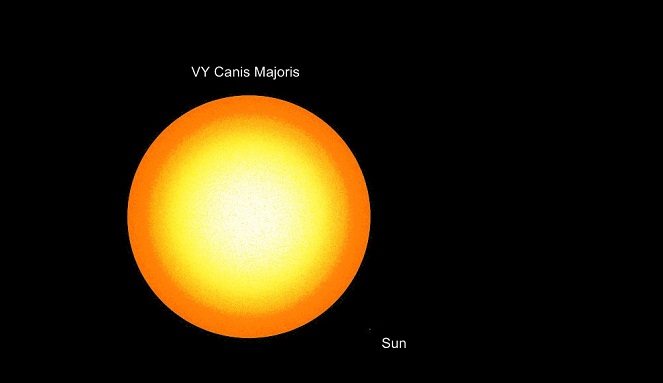 Jika dibandingkan dengan VY Canis Majoris, Matahari hanya sebesar itu [Image Source]