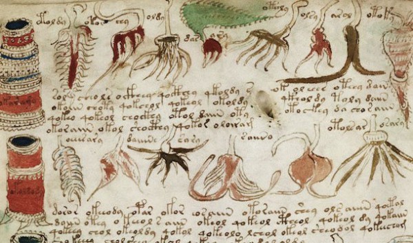 Voynich Manuscript [image source]