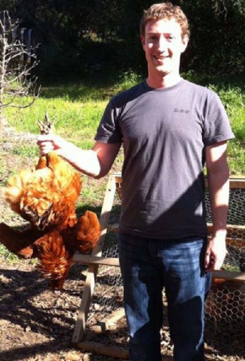 Selain kambing dan babi, Mark juga suka menyembelih sendiri ayam yang akan dikonsumsinya [Image Source]