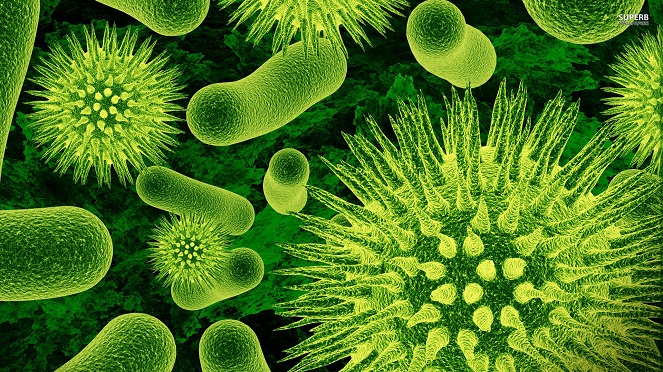 DARPA bisa membunuh bakteri jahat dengan yang lebih jahat [Image Source]
