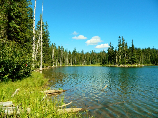 Meskipun tenang, danau ini sangat mematikan [Image Source]