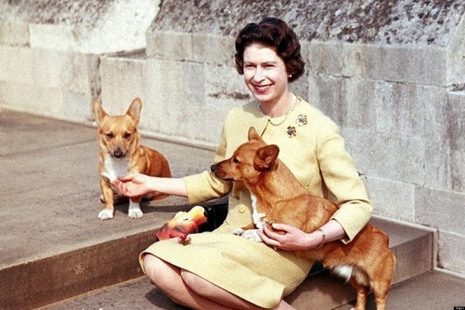 Ratu pernah memotong gaji salah satu pekerja kerajaan gara-gara kedapatan memperlakukan sang hewan kesayangan dengan buruk [Image Source]