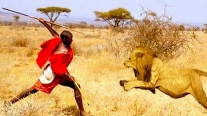 Menjadi dewasa dengan cara bertarung mati-matian melawan singa [Image Source]