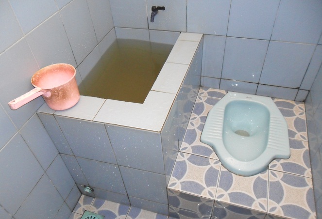 Setiap toilet pasti punya penunggunya sendiri [Image Source]