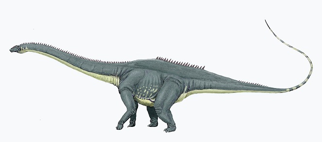 Dengan panjang tubuh 58 meter, Amphicoelias Fragillimus adalah makhluk terbesar sepanjang masa [Image Source]