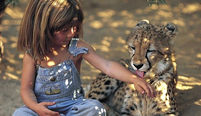 Bermain-main dengan bayi macan tutul [Image Source]