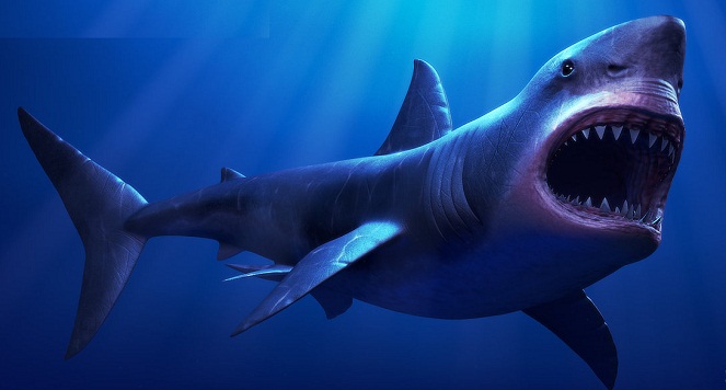 C. Megalodon jadi sesepuh hiu dengan panjang 20 meter [Image Source]