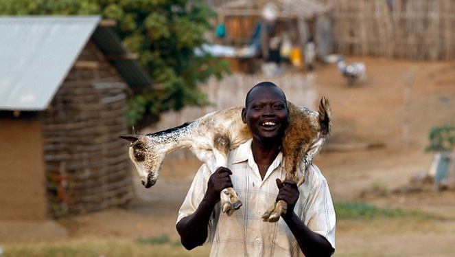 Gara-gara ketahuan berbuat senonoh dengan seekor kambing, seorang pria pun dikawinkan paksa dengan korbannya [Image Source]