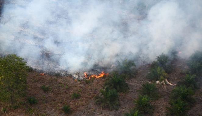Kebakaran hutan di Riau [Image Source]