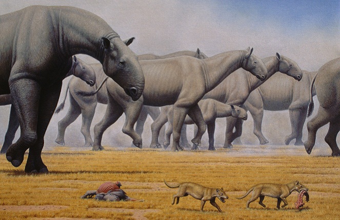 Paraceratherium jadi mamalia darat terbesar yang pernah hidup di Bumi [Image Source]