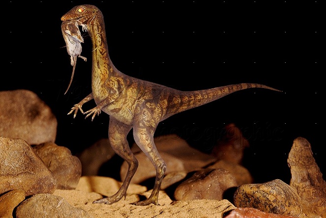 Hewan ini mungkin akan jadi primadona baru para kolektor reptil [Image Source]