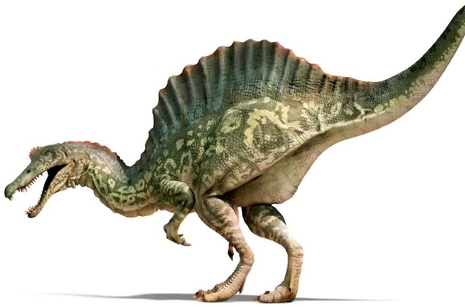 Spinosaurus jadi predator darat paling besar dan paling menyeramkan [Image Source]