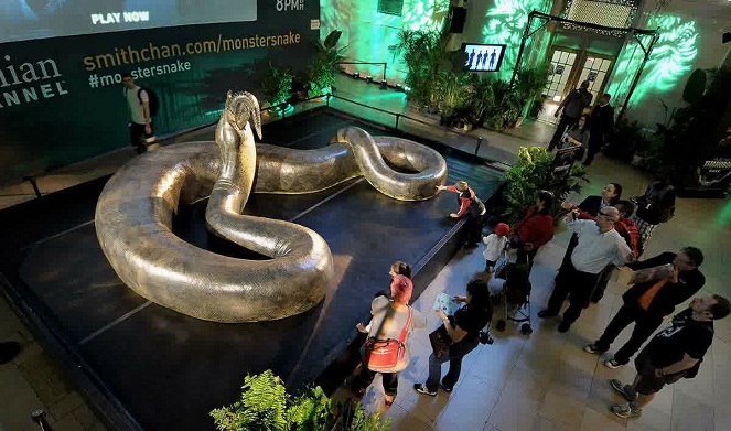 Berukuran 15 meter panjangnya, Titanoboa jadi ular paling panjang yang pernah ada [Image Source]