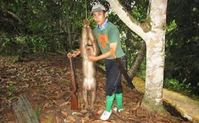Pria ini membunuh bekantan yang notabene adalah hewan yang sangat dilindungi [Image Source]
