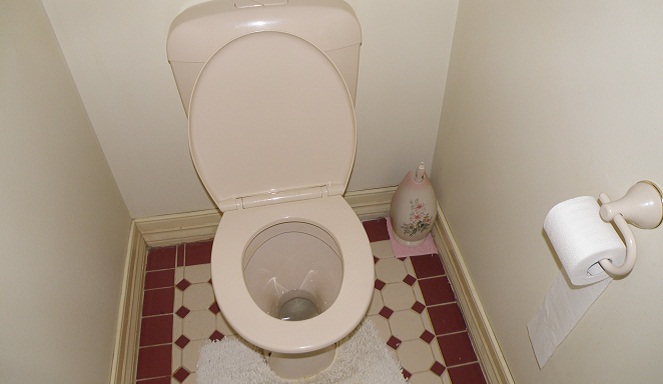 Toilet ternyata jauh lebih bersih dari yang kamu kira [Image Source]