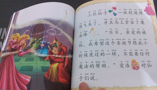 Buku bahasa Mandarin [Image Source]