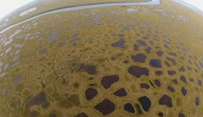 Permafrost yang meleleh di Siberia [Image Source]