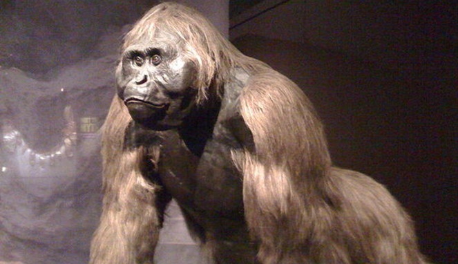 Gigantopithecus [Image Source]