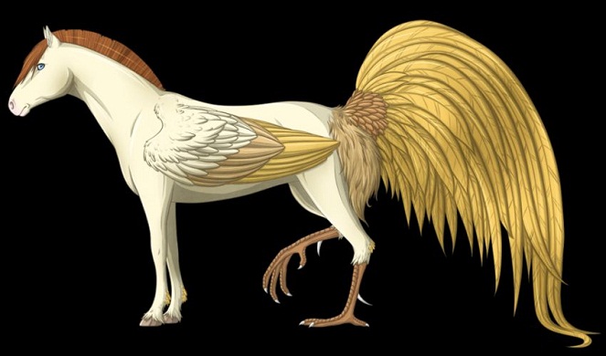 Hippalectryon mungkin masih berhubungan dengan Pegasus atau Griffin [Image Source]