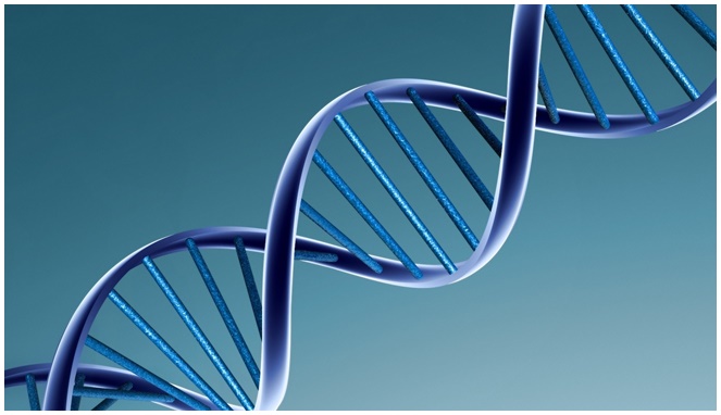 Ilustrasi DNA [Image Source]