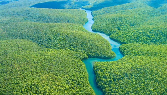 Naik 4-5 Derajat Celcius (Hutan Amazon akan lenyap) [image source]