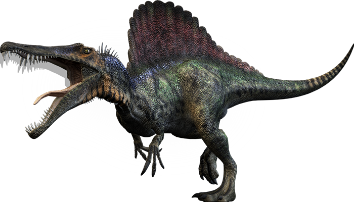 Spinosaurus [image source]