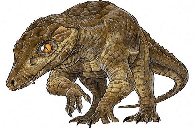 Apakah ini Dienosuchus yang berhasil bertahan hidup? [Image Source]